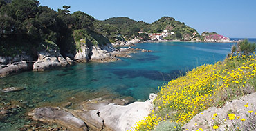 The Cotoncello Beach at Sant'Andrea - Elba
