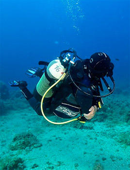 Elba Island is ideal for all outdoor sports and water sports